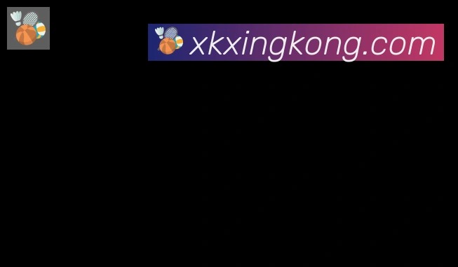 xingkong合作伙伴