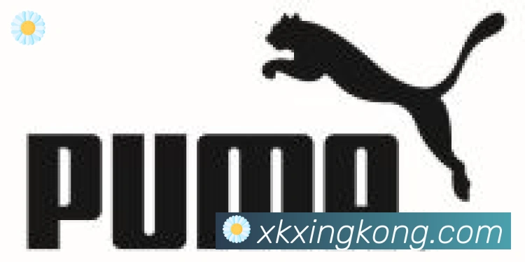 xingkong合作伙伴